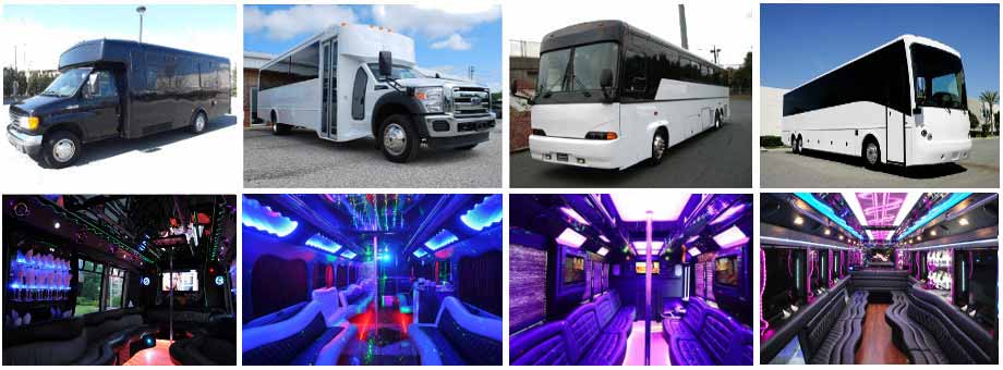 Bachelor Transportation Party buses