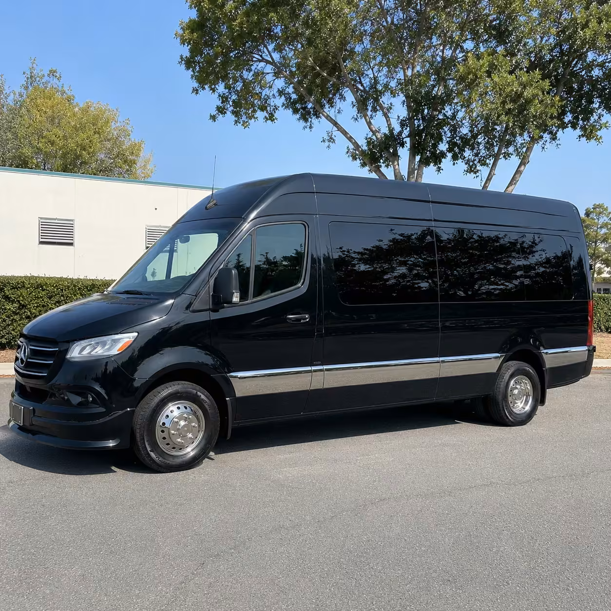sprinter van rental with driver