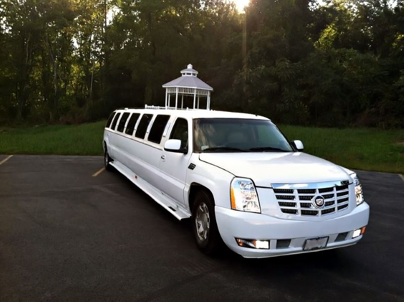 Indianapolis 15 Passenger Limo